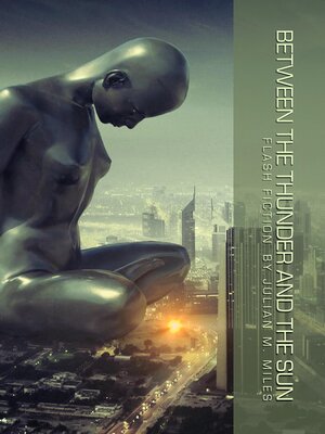 cover image of Between the Thunder and the Sun
